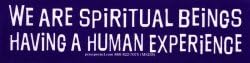 Проект Ресурс на света Ние сме Духовни същества, Переживающие Човешкия опит - Малка Магнитна стикер стикери /Стикер-магнит (6 X 1,75)