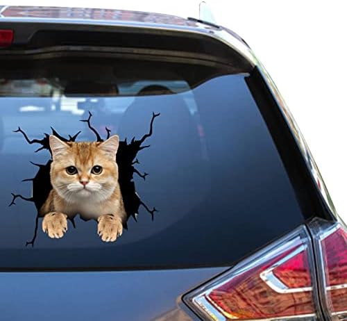 Автомобилни Стикери за Британски Късокосмести Котки и Отличителни Знаци Подарък за Британски Късокосмести Котки Тийнейджър Смешни Вицове Стикери за Детски Винил