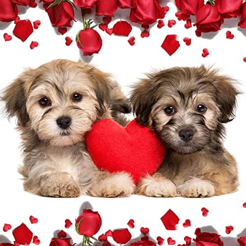 Набор от костюми за кучета ZEEMIAS за Свети Валентин - Червена Сладка Клетчатая Кърпа за Кучета и папийонка,