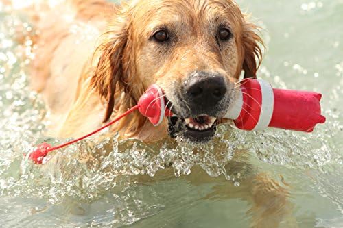 Играчка за кучета Rogz Фар Плаващ Водна играчка Червено-бяла