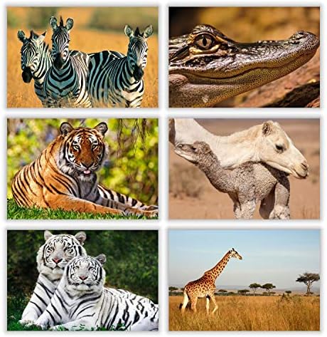 Картички PARTH iMPEX с диви животни - (опаковка от 54 броя), 4 x 6 с участието на различни същества, за сафари